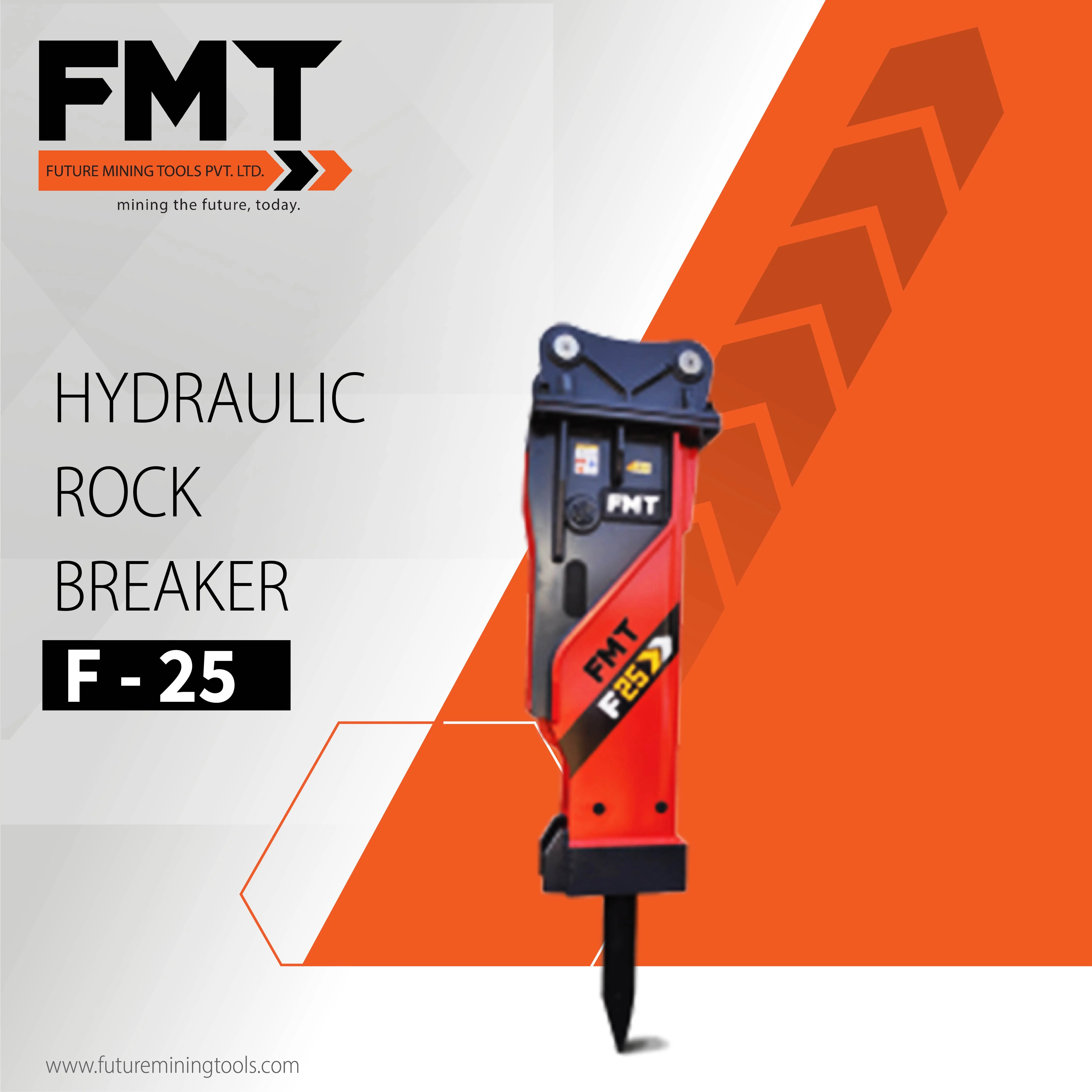 FMT-F-25