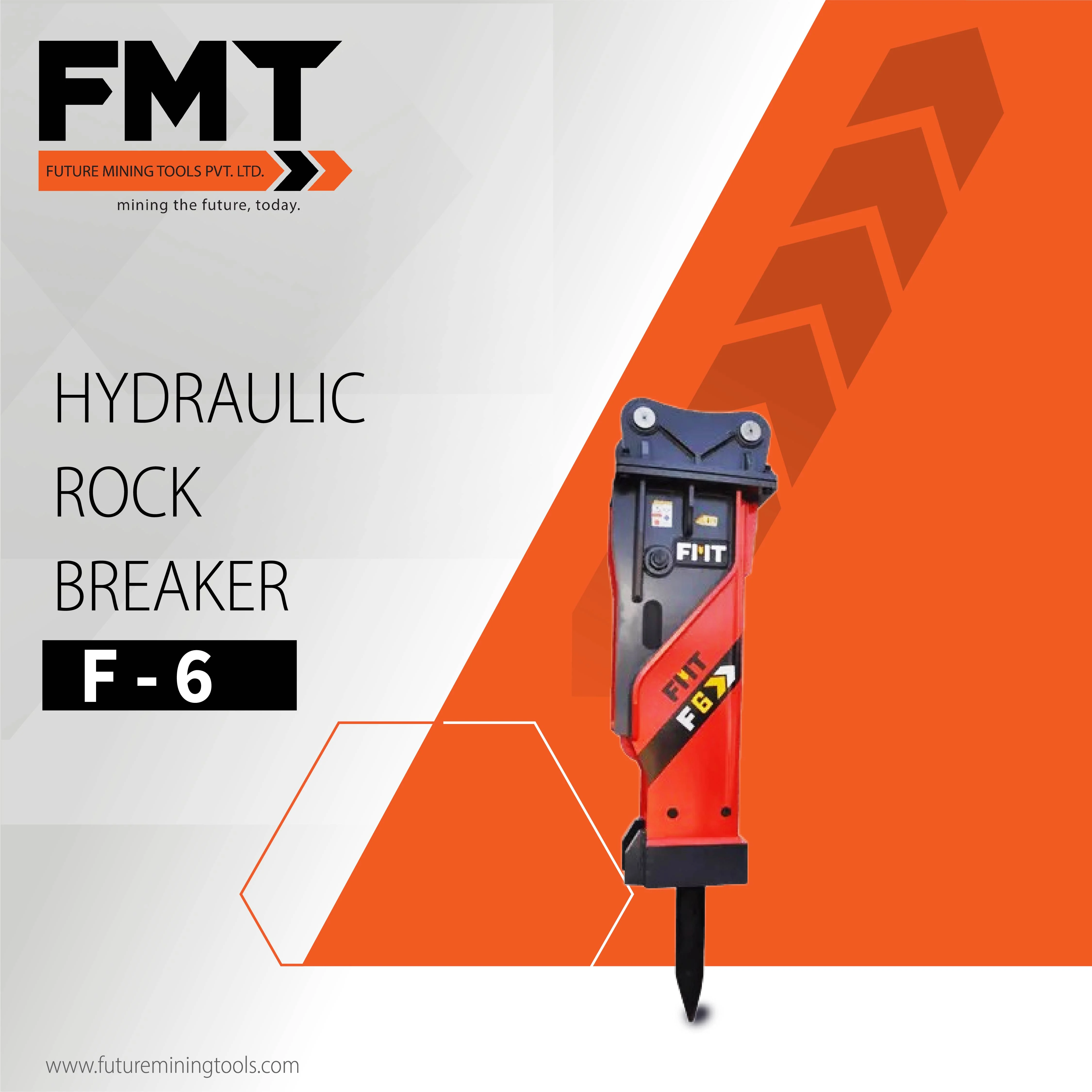 FMT-F-6